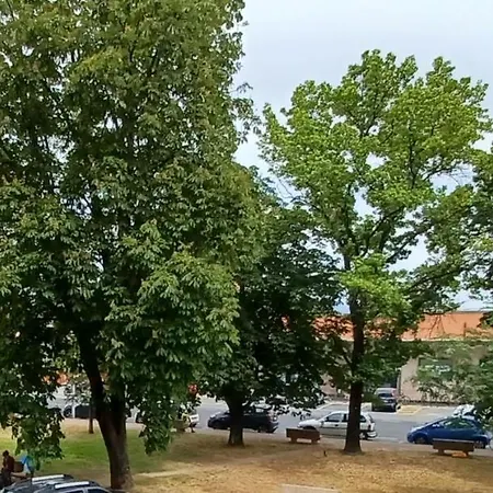 Luminosissimo Centro * فياريجيو