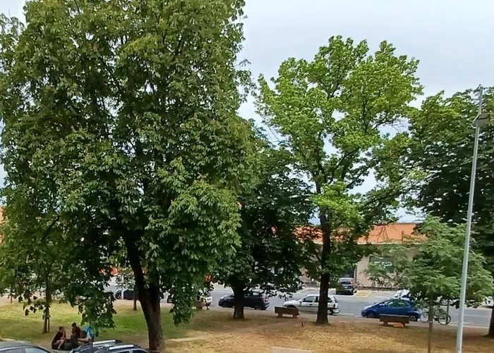 Luminosissimo Centro * فياريجيو